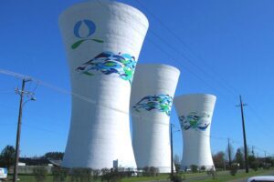 Cómo pagar tu cuenta de Aguas Araucanía con número de servicio aguas-araucania