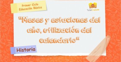 Cómo crear una rúbrica para evaluar lectura en primer año básico 12 ano basico