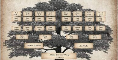 Cómo puedo investigar mi árbol genealógico en Chile 28 arbol genealogico