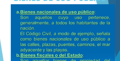 bienes fiscales