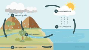 Por qué el ciclo del agua es vital para la vida en la Tierra ciclo-agua