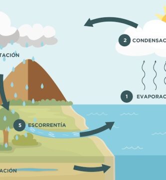 ciclo agua 1