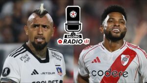 Cuál es el dato curioso del gato colo colo colo-colo