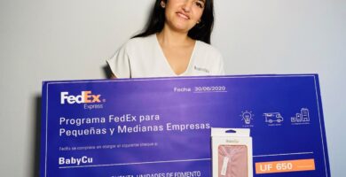 como acceder a la ayuda para pymes en chile