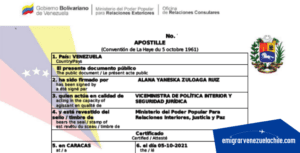 Cómo apostillar antecedentes penales venezolanos en línea desde Chile como-apostillar-antecedentes-penales-venezolanos-en-linea-desde-chile
