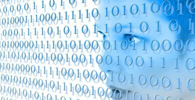 como completar el formulario de acta de destruccion de documentos sii