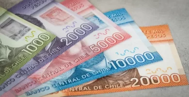 como consultar el bono por hijo con el rut en chile