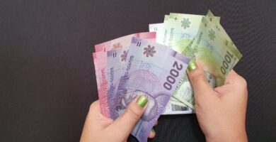 como consultar el saldo a favor en caja los andes