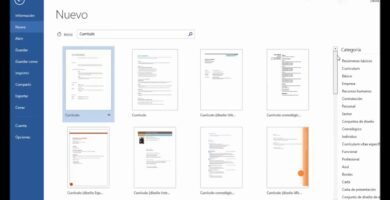 como crear un curriculum vitae para rellenar en word