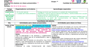 como elaborar un plan de clase sobre contaminacion ambiental para primaria
