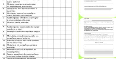 como elaborar una pauta de observacion en aula para alumnos