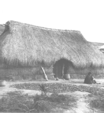 como eran las casas tradicionales de los mapuches
