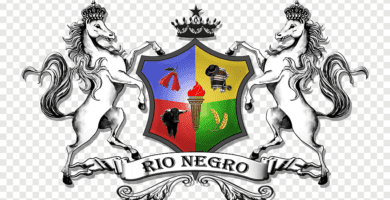 como es el escudo de chile en blanco y negro