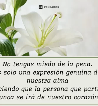 como expresar condolencias a alguien que ha perdido un familiar