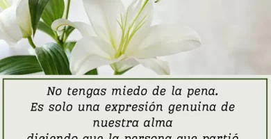 como expresar condolencias a alguien que ha perdido un familiar