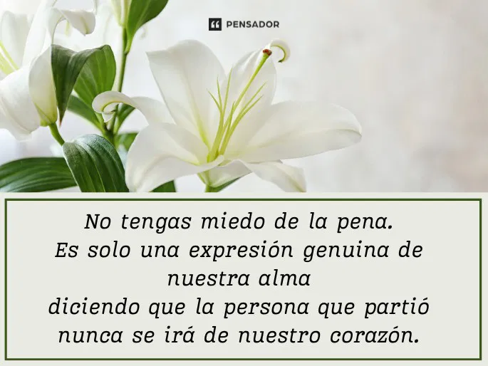 Cómo expresar condolencias a alguien que ha perdido un familiar 1 como expresar condolencias a alguien que ha perdido un familiar