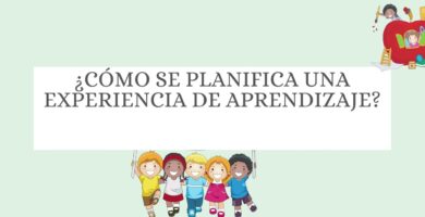 como hacer planificaciones para sala cuna con las nuevas bases curriculares