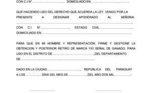 Cómo hacer una carta poder simple en Chile como-hacer-una-carta-poder-simple-en-chile