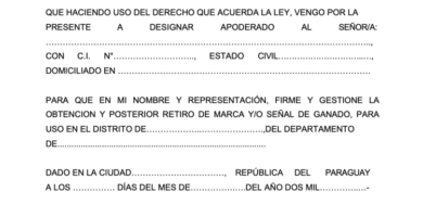 como hacer una carta poder simple en chile