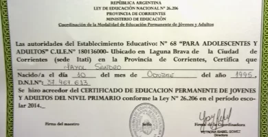 como obtener mi certificado de primaria por internet en argentina