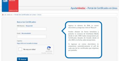 como puedo consultar mis notas de ensenanza media en chile