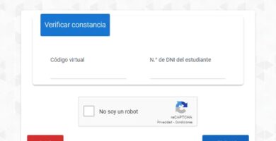 como puedo consultar mis notas del colegio en chile