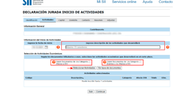 como puedo iniciar actividades economicas en chile por internet