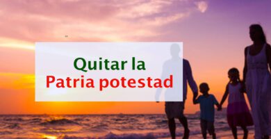 como quitar la patria potestad a un padre en chile
