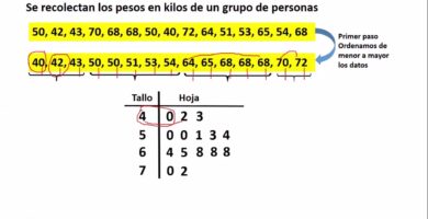 como resolver ejercicios de diagrama de tallo y hoja paso a paso