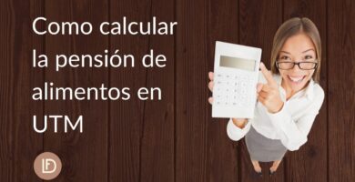 como saber cuanto me deben de pension alimenticia en chile