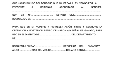 como se hace una carta poder para autorizar a otra persona