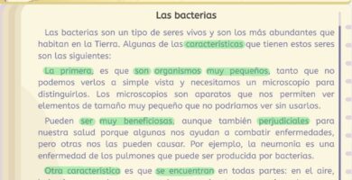 como se organiza un texto expositivo guia esencial