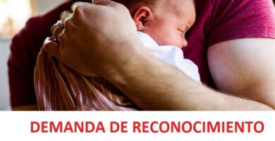 como se reconoce legalmente a un hijo por un padre no biologico en chile