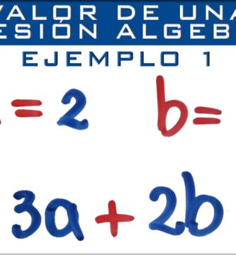 como se valorizan las expresiones algebraicas en septimo basico