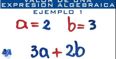 como se valorizan las expresiones algebraicas en septimo basico