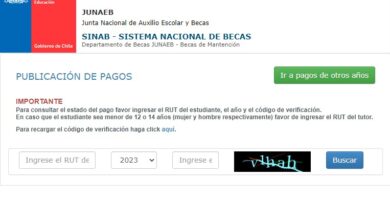 Cómo verificar si tengo la Beca Presidente de la República en Chile 23 como verificar si tengo la beca presidente de la republica en chile