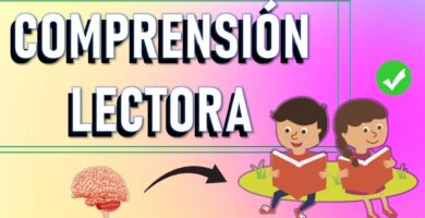comprension lectora