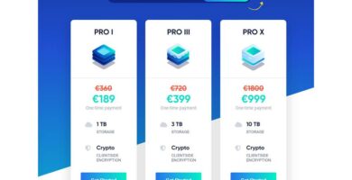 cual es el maximo de carga por archivo en box