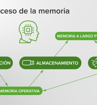 cual es el metodo mas efectivo para mejorar el aprendizaje y la memoria