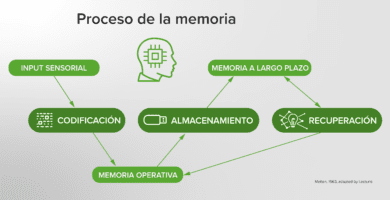 cual es el metodo mas efectivo para mejorar el aprendizaje y la memoria