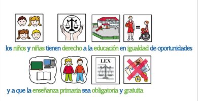 cual es el numero del articulo que establece el derecho a la educacion