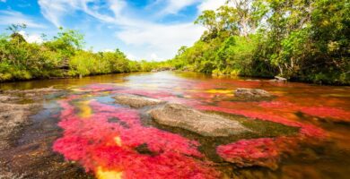 ¿Cuál es el río más largo de Chile? Descúbrelo aquí 7 cual es el rio mas largo de chile descubrelo aqui