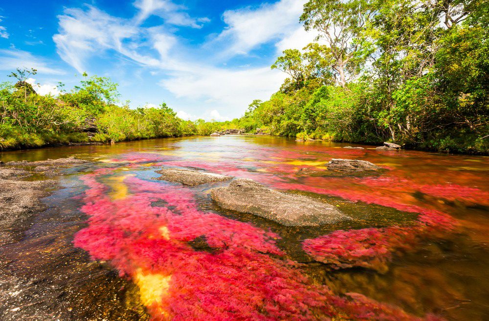 ¿Cuál es el río más largo de Chile? Descúbrelo aquí 1 cual es el rio mas largo de chile descubrelo aqui