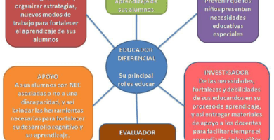 cual es el rol del educador diferencial segun el mineduc