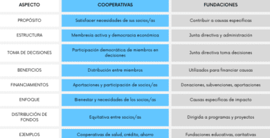 cual es la diferencia entre una ong y una fundacion en chile