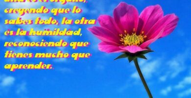 cuales son las dos formas de enfrentar la vida