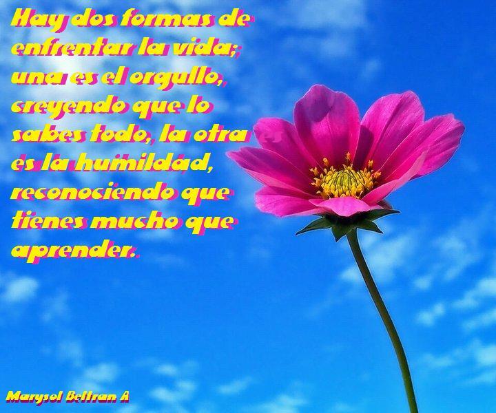 cuales son las dos formas de enfrentar la vida