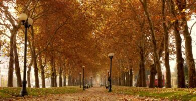 cuales son los meses del ano y sus estaciones en chile