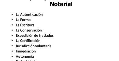 cuales son los principios del derecho notarial
