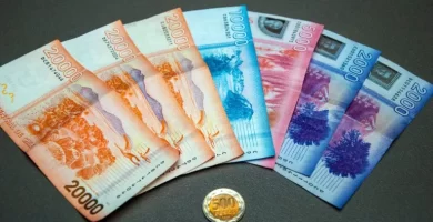 cuando un bono pasa a ser un beneficio fijo en chile